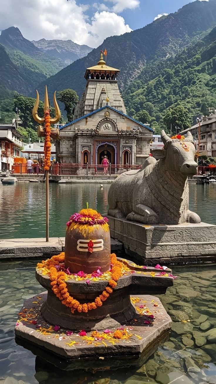 whatsapp image 2026 04 14 at 13.58.52